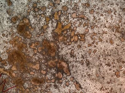 Professional water damage restoration services in Island - GreenRise Pros